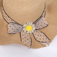 Women's Simple Style Color Block Wide Eaves Straw Hat main image 2
