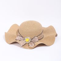 Women's Simple Style Color Block Wide Eaves Straw Hat sku image 3