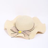 Women's Simple Style Color Block Wide Eaves Straw Hat sku image 1