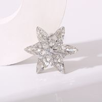 Ig Style Shiny Flower Snowflake Copper Plating Inlay Zircon Women's Brooches sku image 3