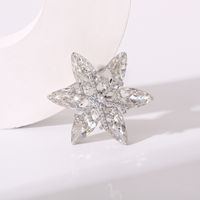 Style Ig Brillant Fleur Flocon De Neige Le Cuivre Placage Incruster Zircon Femmes Broches sku image 3