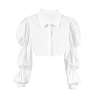 Women's Blouse Long Sleeve Blouses Popover Casual Elegant Solid Color main image 2