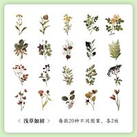 1 Piece Flower Class Learning Mixed Materials Vintage Style Stickers sku image 5