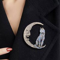 Brillant Lune Chat Alliage Incruster Strass Femmes Broches main image 5