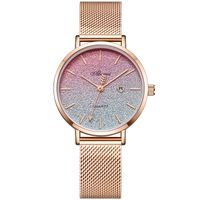 Casual Gradient Color Horseshoe Buckle Quartz Women's Watches sku image 2