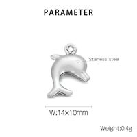 Cute Dolphin Stainless Steel Jewelry Accessories sku image 2