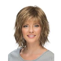 Women's Simple Style Party Stage High Temperature Wire Side Fringe Short Straight Hair Wig Net main image 5