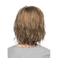Women's Simple Style Party Stage High Temperature Wire Side Fringe Short Straight Hair Wig Net main image 4