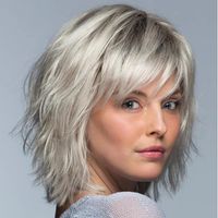 Women's Simple Style Party Stage High Temperature Wire Side Fringe Short Straight Hair Wig Net sku image 2