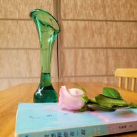 Simple Style Solid Color Arylic Vase Artificial Decorations main image 2