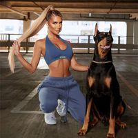 Classic Style Streetwear Solid Color Spandex Polyester Halter Neck Tracksuit Vest Sweatpants main image 1