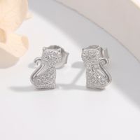 1 Pair Ig Style Elegant Cute Cat Plating Inlay Sterling Silver Zircon White Gold Plated Rhodium Plated Ear Studs main image 3