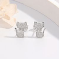 1 Pair Ig Style Elegant Cute Cat Plating Inlay Sterling Silver Zircon White Gold Plated Rhodium Plated Ear Studs main image 4