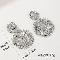 1 Piece Exaggerated Vacation Flower Alloy Drop Earrings main image 2