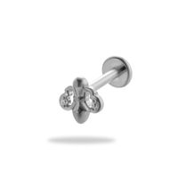 1 Piece Ear Cartilage Rings & Studs Simple Style Flower Pure Titanium Plating Inlay Zircon sku image 15