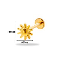 1 Stück Ohrknorpelringe &Stecker Einfacher Stil Koreanische Art Geometrisch Blume Reines Titan Überzug Inlay Zirkon sku image 2