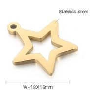 1 Piece Stainless Steel 18K Gold Plated Star main image 2