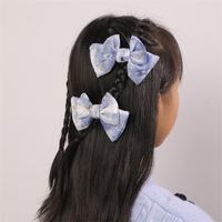 Women's Cute Sweet Bow Knot Alloy Cloth Hair Clip main image 1