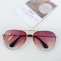 Casual Streetwear Solid Color Pc Avaitor Half Frame Men's Sunglasses sku image 4