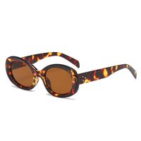 Simple Style Solid Color Ac Oval Frame Full Frame Men's Sunglasses sku image 4