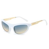 Fashion Geometric Pc Cat Eye Full Frame Women's Sunglasses sku image 6