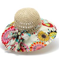 Women's Simple Style Color Block Big Eaves Sun Hat main image 2