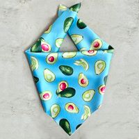 Cute Satin Cloth Avocado Watermelon Pet Scarf sku image 1