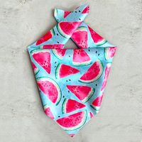 Cute Satin Cloth Avocado Watermelon Pet Scarf sku image 2