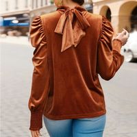 Women's Blouse Long Sleeve Blouses Elegant Classic Style Solid Color main image 2