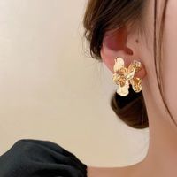 1 Pair Elegant Flower Copper Ear Studs main image 2
