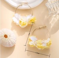 1 Pair Ig Style Flower Polyester Metal Earrings main image 2