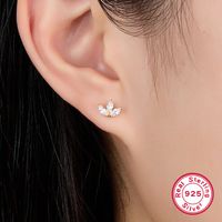 1 Pair Commute Shiny Korean Style Shamrock Plating Inlay Sterling Silver Zircon 18k Gold Plated White Gold Plated Ear Studs main image 1