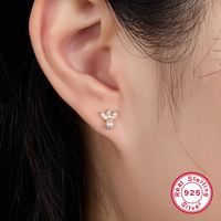 1 Pair Ig Style Commute Flower Plating Inlay Sterling Silver Artificial Pearls Zircon 18k Gold Plated White Gold Plated Ear Studs main image 6