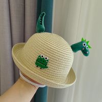 Children Unisex Cute Pastoral Dinosaur Straw Hat main image 2