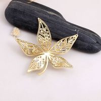 Lady Leaf Copper Alloy Inlay Zircon Women's Brooches main image 3