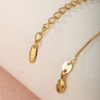 Simple Style Commute Heart Shape Copper Alloy Plating 24k Gold Plated Women's Necklace main image 10