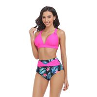 Women's Ditsy Floral Solid Color 2 Pieces Set Bikinis Swimwear main image 2