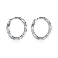 1 Pair Casual Modern Style Spiral Stripe Irregular Metal Stainless Steel Hoop Earrings sku image 1