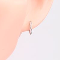 1 Paar Einfacher Stil Einfarbig Inlay Sterling Silber Zirkon Ohrringe main image 4