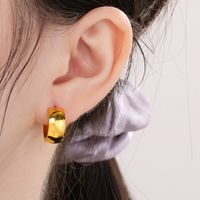 1 Pair Basic Geometric Titanium Steel 18K Gold Plated Hoop Earrings main image 9
