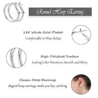 1 Pair Luxurious Queen Bridal Circle 304 Stainless Steel Hoop Earrings main image 6
