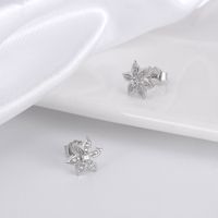 1 Pair Simple Style Roman Style Snowflake Plating Inlay Sterling Silver Zircon 14k Gold Plated White Gold Plated Ear Studs main image 3