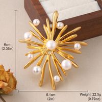 Vintage Style Fashion Simple Style Fireworks Copper Plating Inlay Pearl Women's Brooches 1 Piece sku image 1