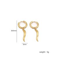 Stainless Steel 18K Gold Plated Simple Style Plating Chili Drop Earrings sku image 4
