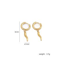 Stainless Steel 18K Gold Plated Simple Style Plating Chili Drop Earrings sku image 3