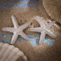 1 Pair Exaggerated Vacation Beach Starfish Plating Alloy Drop Earrings main image 4