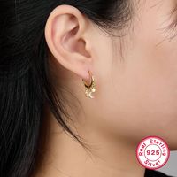 1 Pair Elegant Simple Style Commute Cross Star Moon Plating Inlay Sterling Silver Zircon 18k Gold Plated White Gold Plated Drop Earrings main image 1