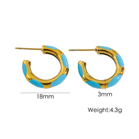 1 Pair Simple Style Round Enamel Plating 304 Stainless Steel 14K Gold Plated Earrings sku image 2