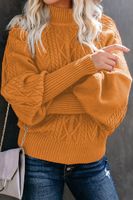 Women's Sweater Long Sleeve Sweaters & Cardigans Elegant Solid Color main image 3