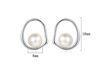 1 Pair Simple Style Round Plating Sterling Silver White Gold Plated Ear Studs main image 2